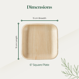 6" Square Plate