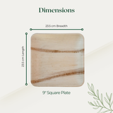9" Square Plate