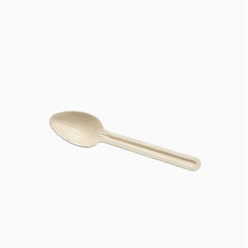 Spoon (160mm)