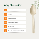 Spoon (160mm)