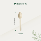 Spoon (160mm)